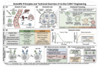 Technical Overview